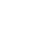 LEA Partners